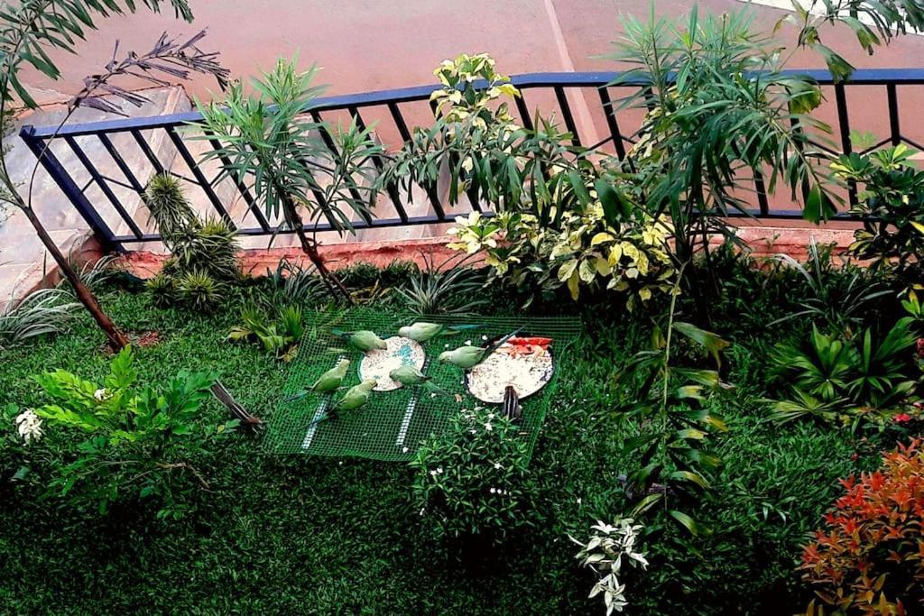 Saru Holiday Apartment - Upto 6 Guests Kandy Dış mekan fotoğraf